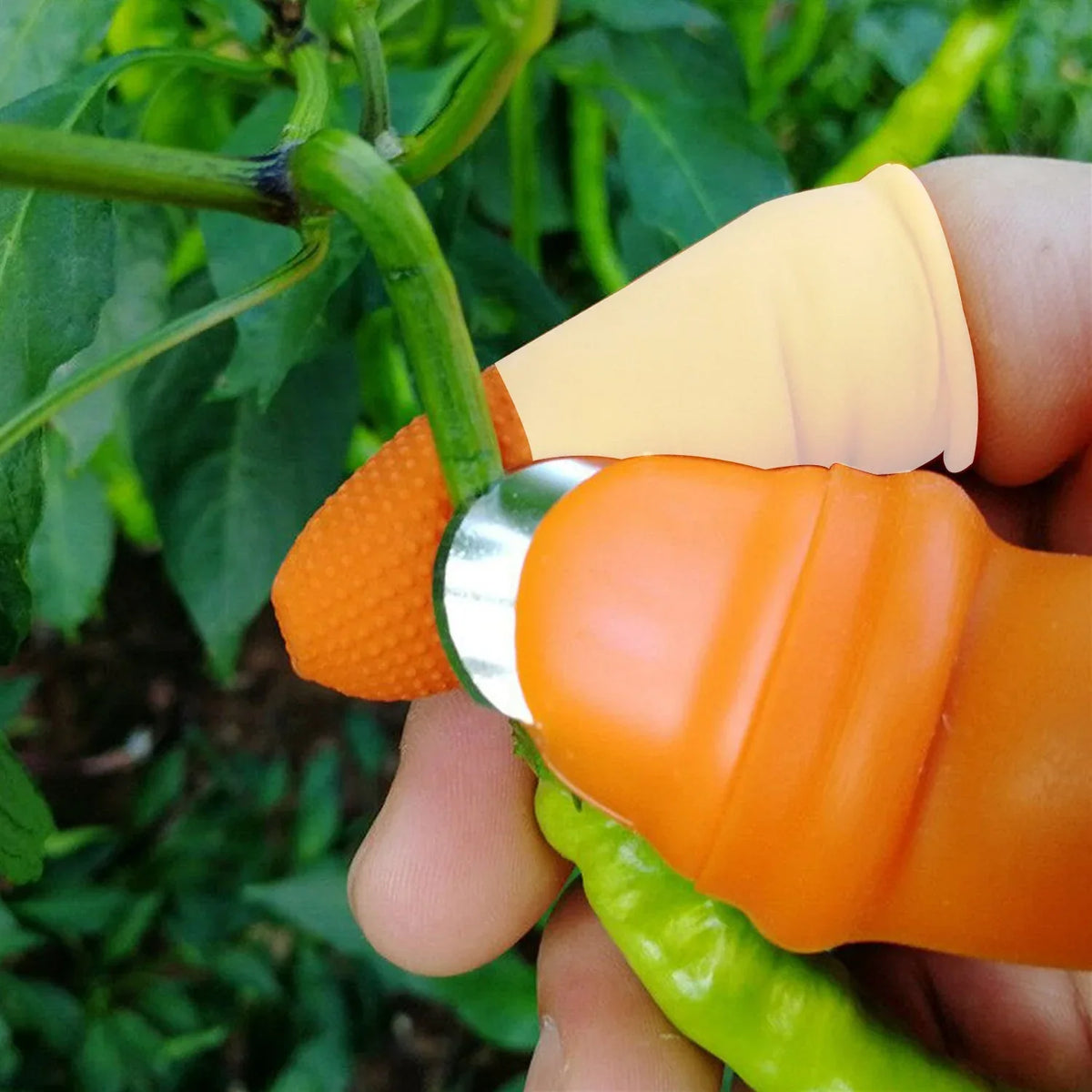 2662v 1 Pair V Thumb Cutter With Box Used In All Kinds Of Household And Official Kitchen Purposes For Peeling And Cutting Of Various Types Of Vegetables And Fruits Etc. - Zidbik