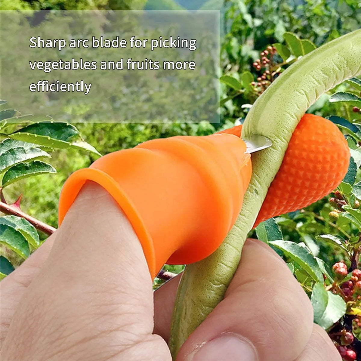 2662v 1 Pair V Thumb Cutter With Box Used In All Kinds Of Household And Official Kitchen Purposes For Peeling And Cutting Of Various Types Of Vegetables And Fruits Etc. - Zidbik