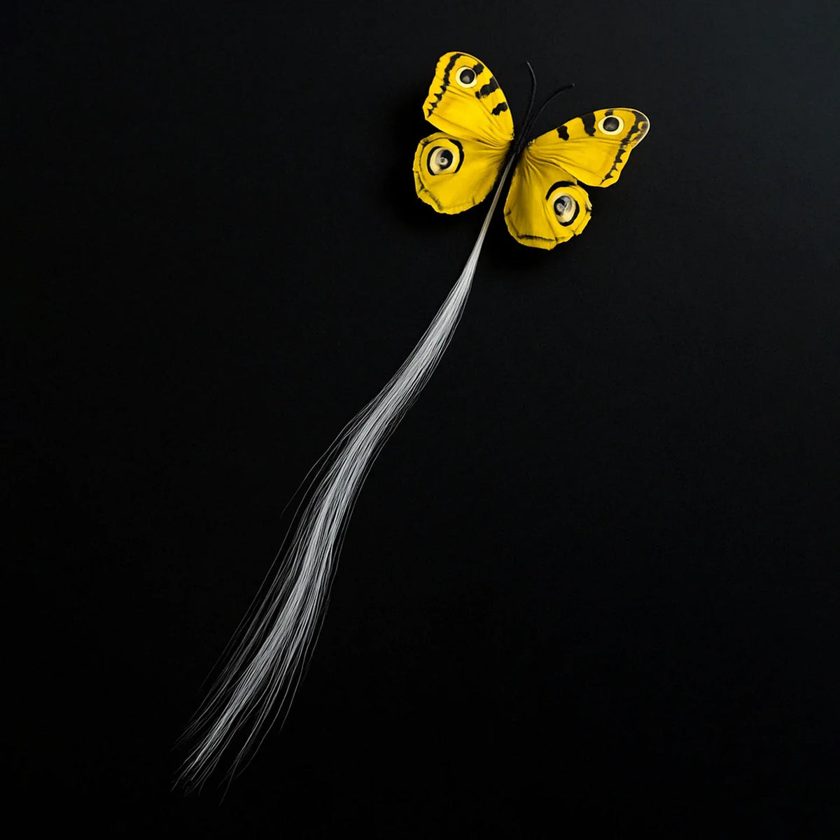 Led Butterfly Hair Braid Clip (Mix Color 1 Pc) - Zidbik